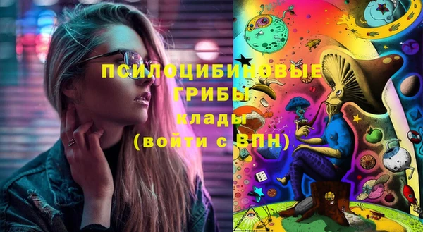 соль курить ск Няндома
