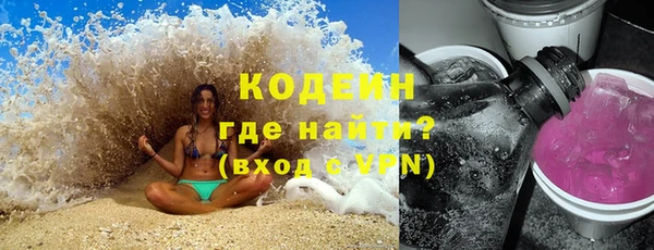 индика Ельня